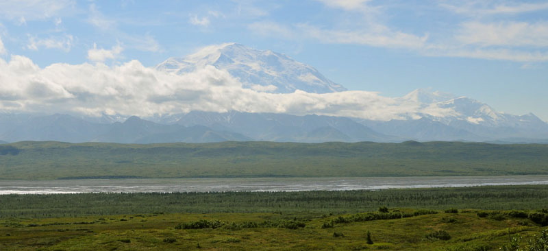 Photo of Mount McKinley - Denali National Park