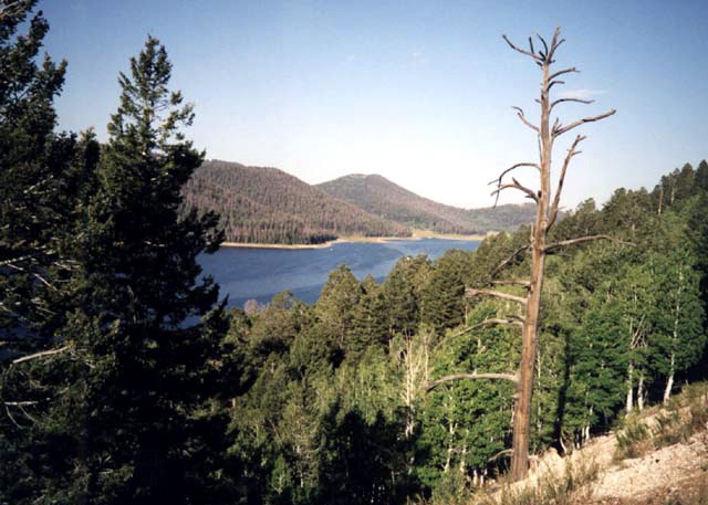 Dixie National Forest - Panguitch Lake