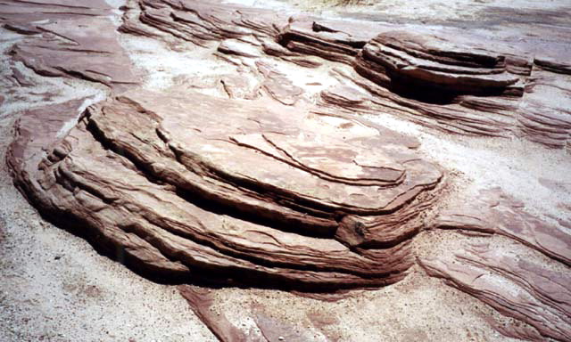 Zion National Park - Stone Sand Dunes