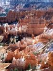 Bryce Canyon - Hoodoos