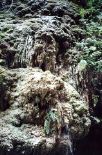 Zion National Park - Flow Stone