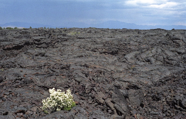 Craters of the Moon - Lava Cascades