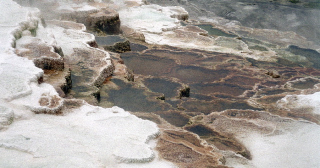 Yellowstone National Park - Mammoth Canary Spring
