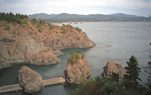 Port Orford Heads Wayside