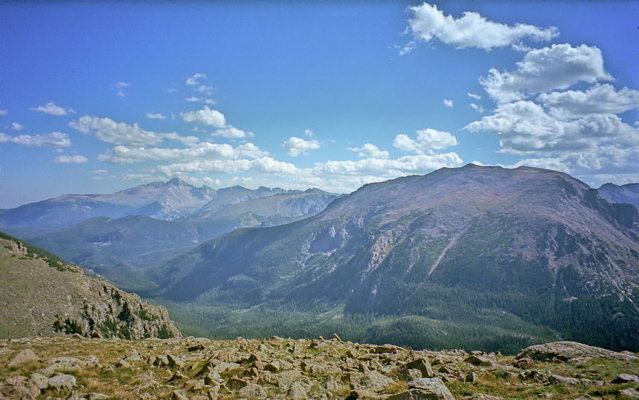 Rocky Mountain National Park Forest Canyon Photo