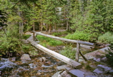 Mills Lake Trail