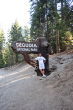 Sequoia Sign