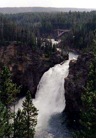 Yellowstone National Park Upper Falls Photo