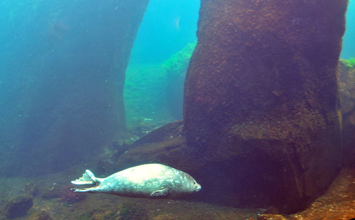 Photo of Sea Life Center - Seward, AK