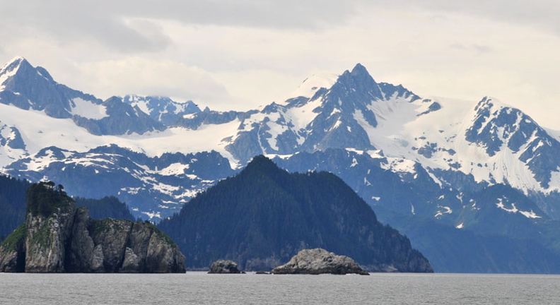 Photo of Chiswell Islands - Kenai Fjords National Park