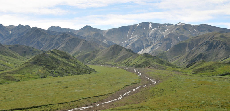 Photo of Highway Pass - Denali National Park