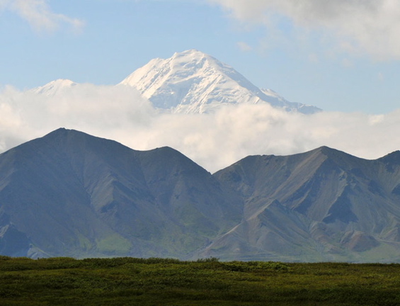 Photo of Mount McKinley - Denali National Park