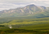 Alpine Tundra - Denali NP