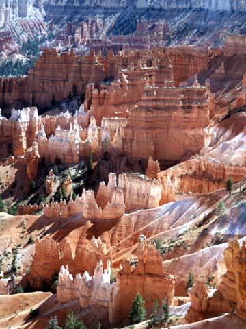 Bryce Canyon - Hoodoos