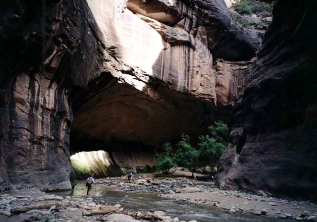 Riverside Walk - Zion National Park - National Park Photos