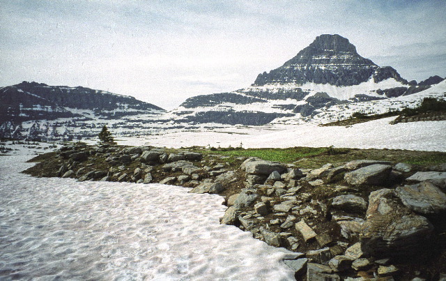 Glacier National Park - Logan Pass Reynolds Mtn