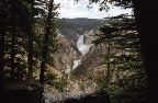 Yellowstone National Park - Canyon Lower Falls