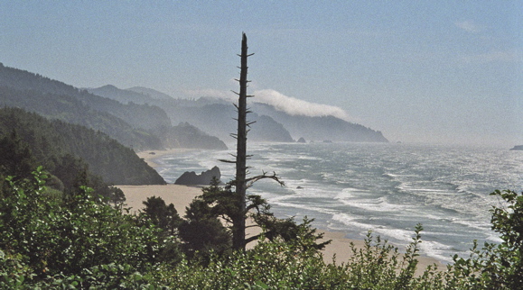 Pacific Coast