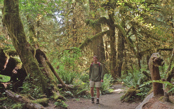 Hoh Rain Forest