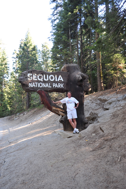 Sequoia Sign