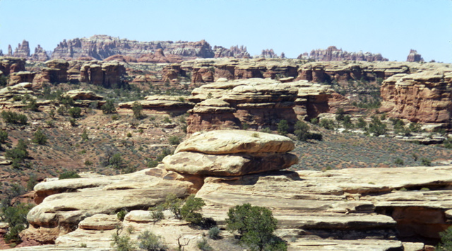 Canyonlands National Park Pothole Point Photo