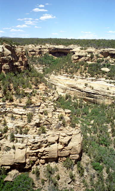 Mesa Verde National Park Cliff Palace Viewpoint Photo