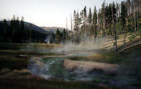 Yellowstone National Park Morning Steam Winter Creek Photo