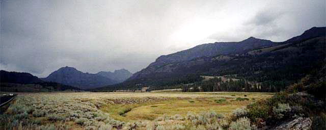 Yellowstone National Park Lamar Valley Photo