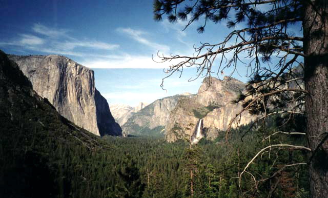 Yosemite National Park Yosemite Tunnel View Photo