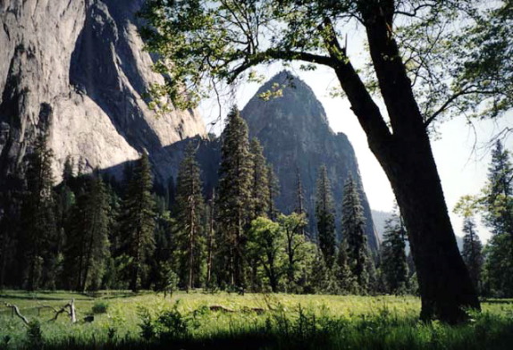 Yosemite National Park Yosemite Sentinel Rock Photo