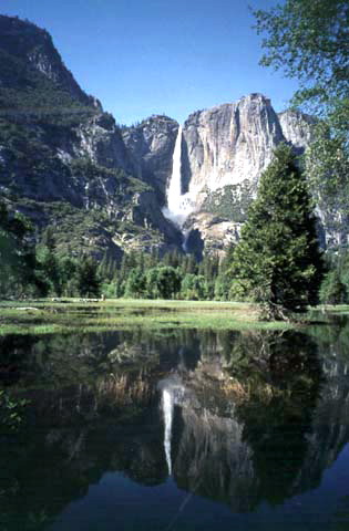 Yosemite National Park Yosemite Falls Reflection Photo