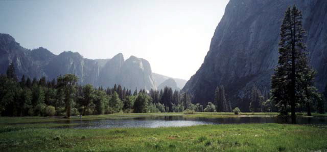 Yosemite National Park Yosemite Meadow Photo