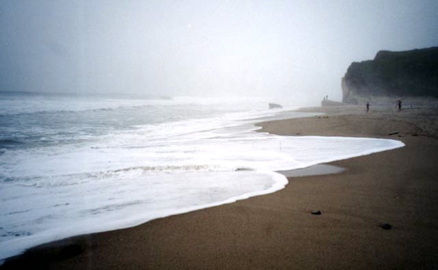 Pacific Coast Highway Beach Photo
