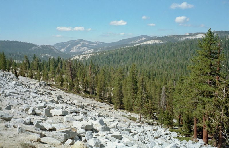 Yosemite National Park Tioga Road Photo