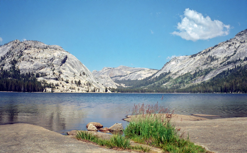 Yosemite National Park Tenaya Lake Photo